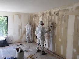 Best Mold Odor Removal Services  in Dunellen, NJ